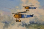 Click to view Jasta 19 Duo.jpg